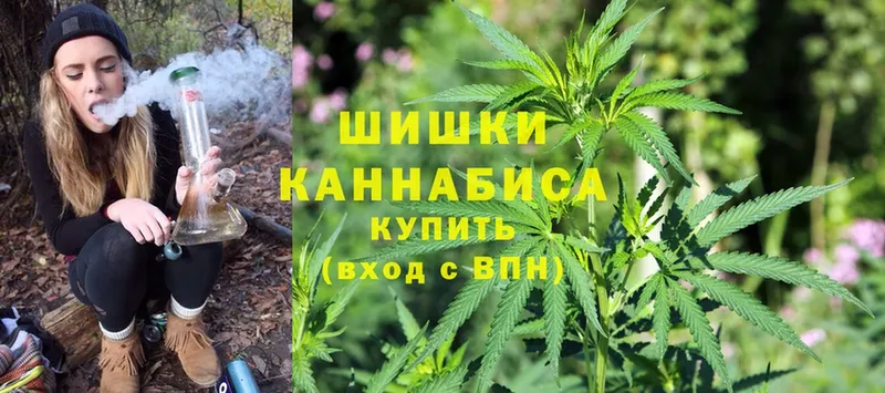 наркотики  Пошехонье  Шишки марихуана White Widow 